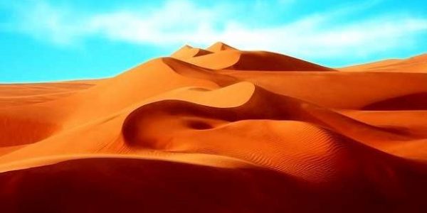 WhatsApp Image 2020-07-20 at 8.12.36 PM